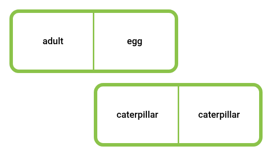 Life Cycles - Science Domino
